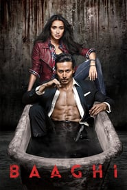 Baaghi (2016)