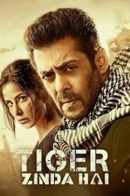 Tiger Zinda Hai (2017)